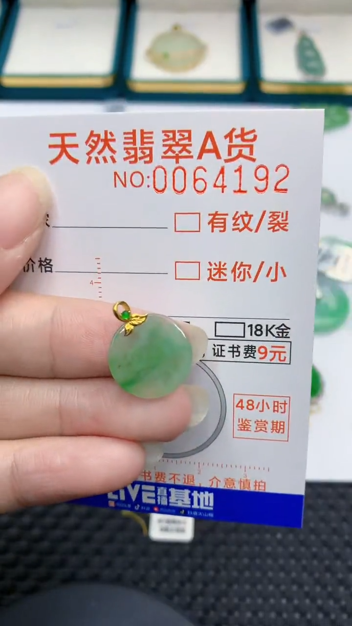 【闪购商品】翡翠颈饰18K金镶嵌            8