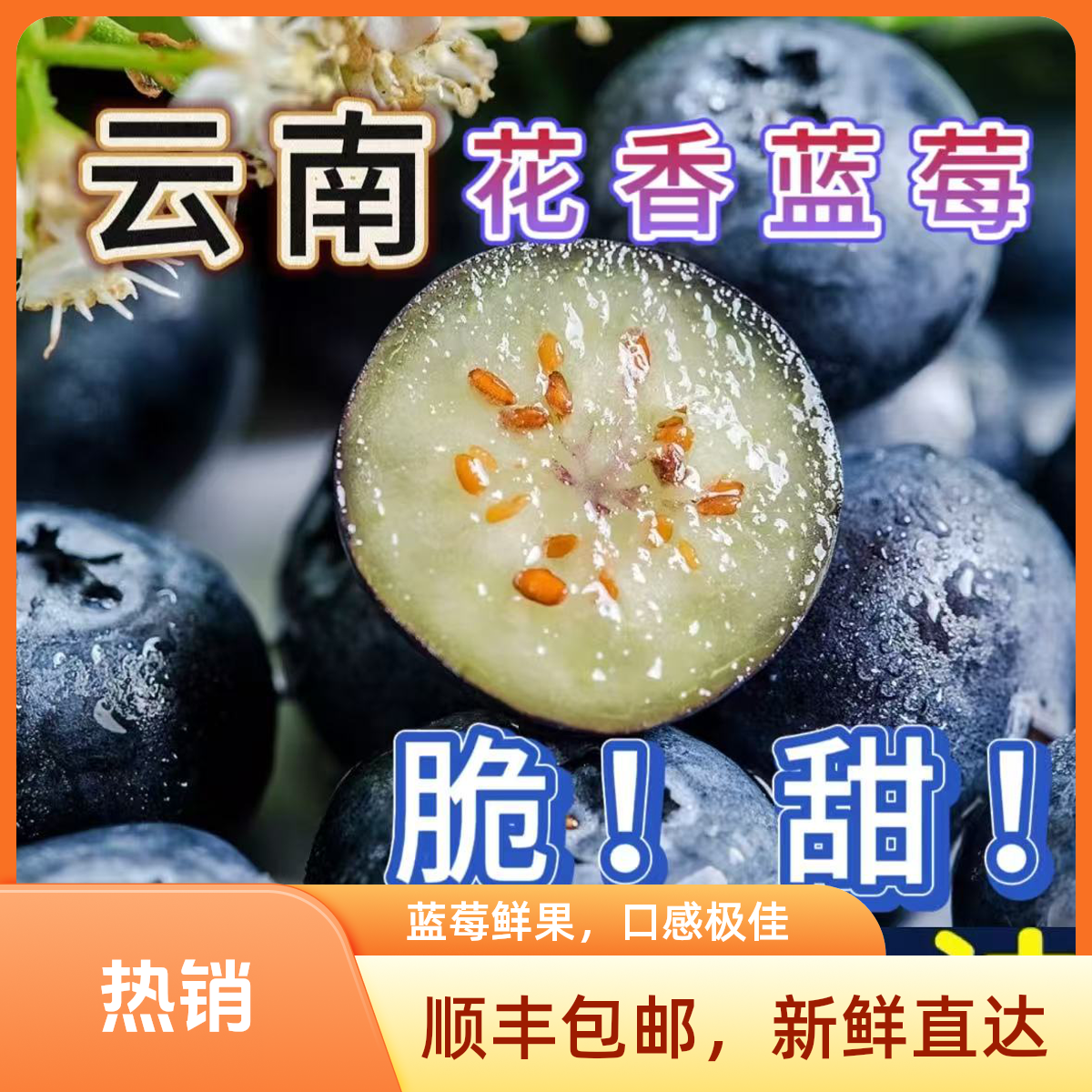 【川渝次日达】云南花香蓝莓3盒尝鲜中果，新鲜现采现摘蓝莓100g/盒 顺丰包邮送货到家（15mm-18mm）