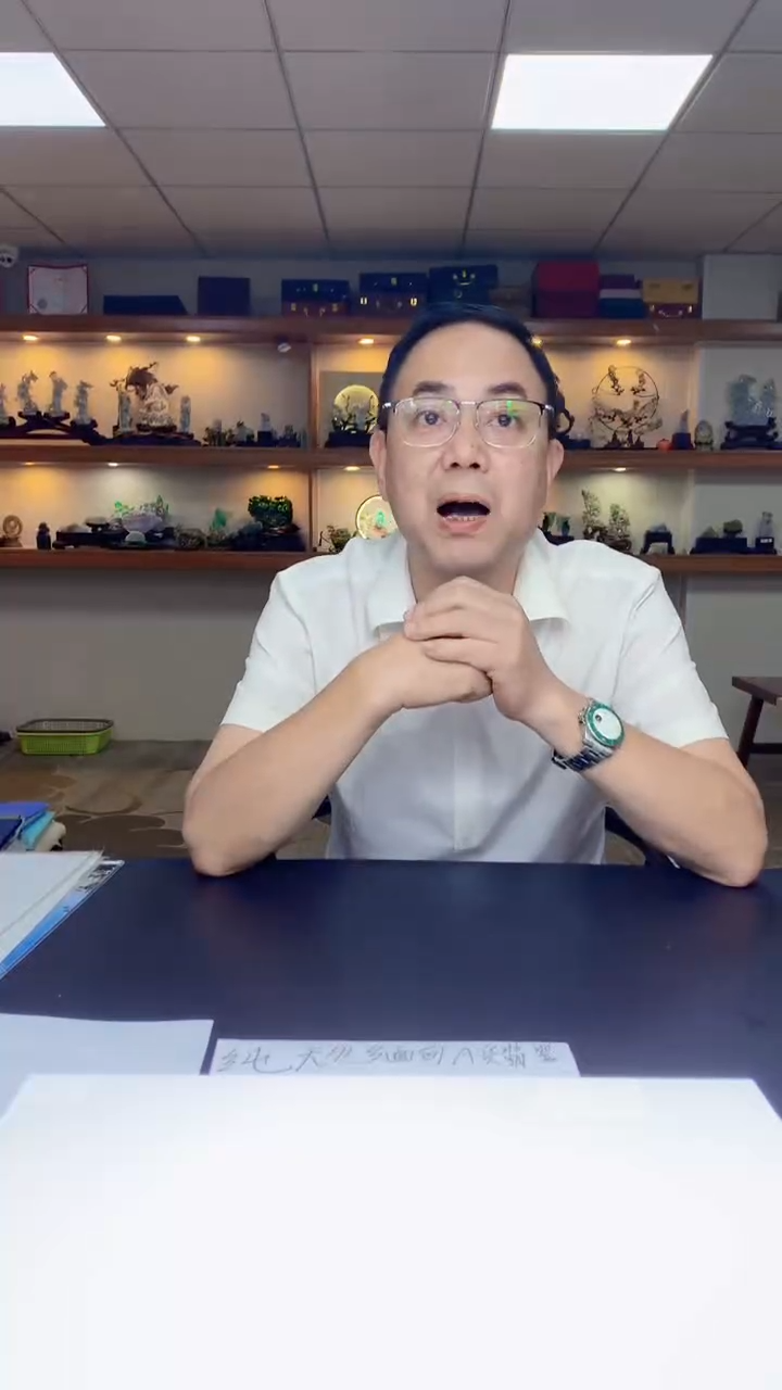 定制翡翠未镶嵌嘉*1087hm-毛货挂件20