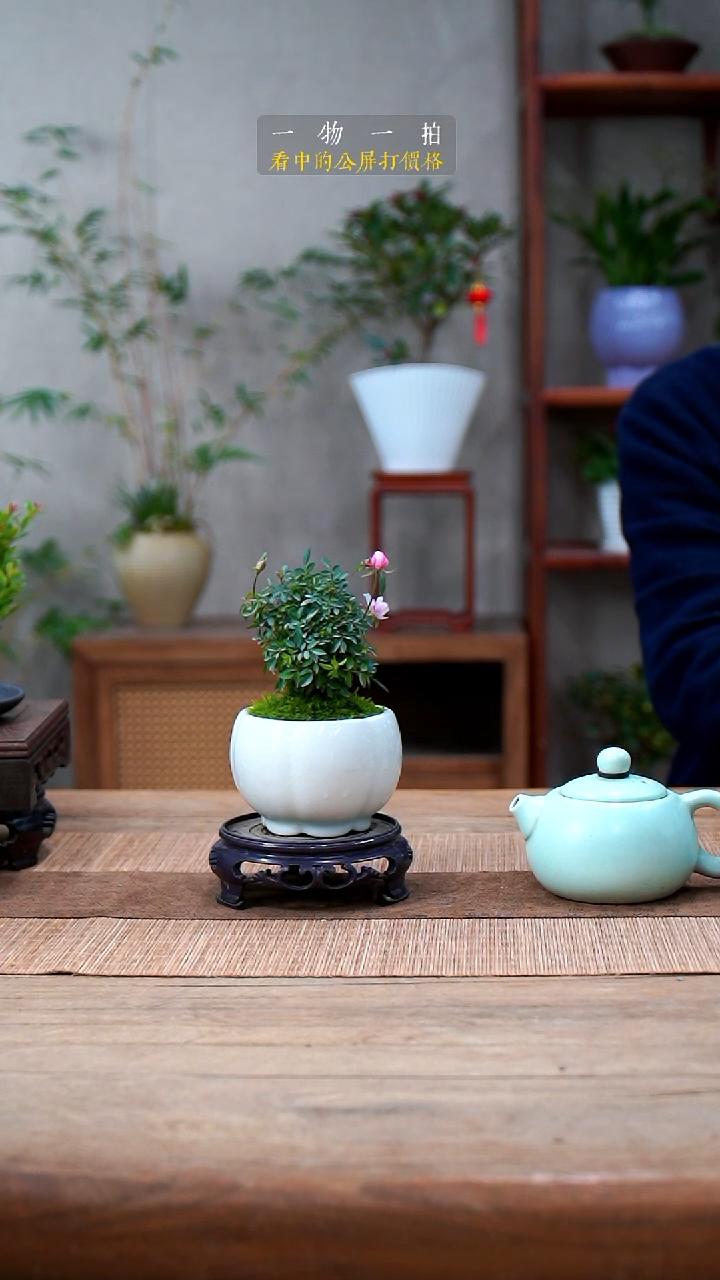 完全开放喜****隋月季008