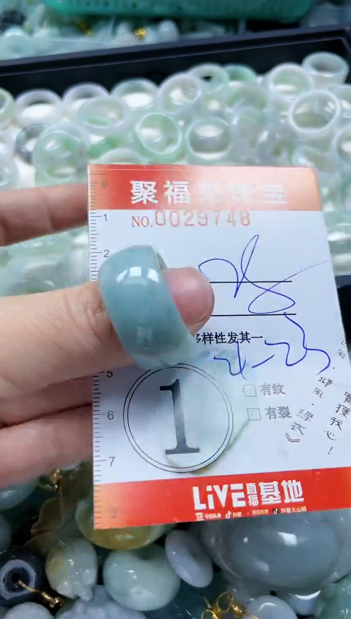 【闪购商品】翡翠颈饰未镶嵌闪购0029748