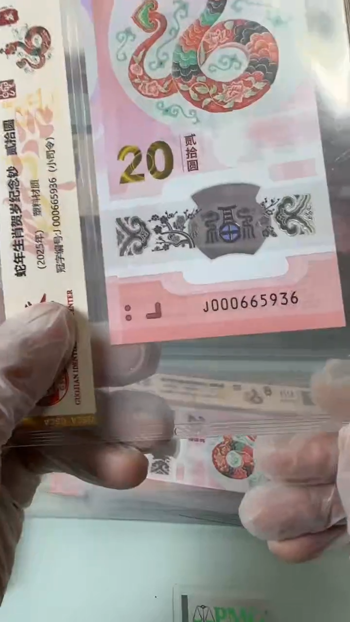 【闪购商品】塑料000665936-蛇钞单张！