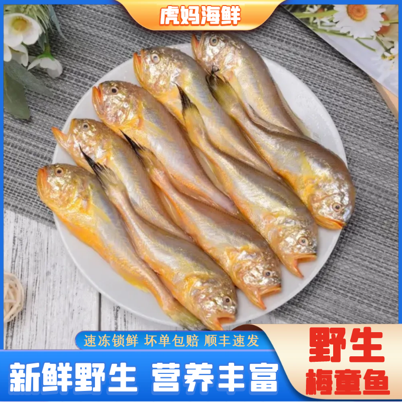 【虎妈海鲜】梅童鱼梅子鱼大头宝野生 新鲜速冻直播16-20条/斤共4斤