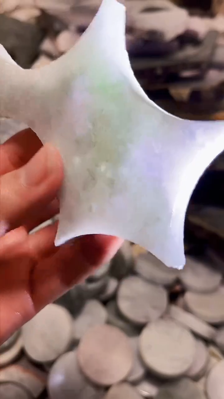 【闪购商品】翡翠颈饰未镶嵌A货白谭1873