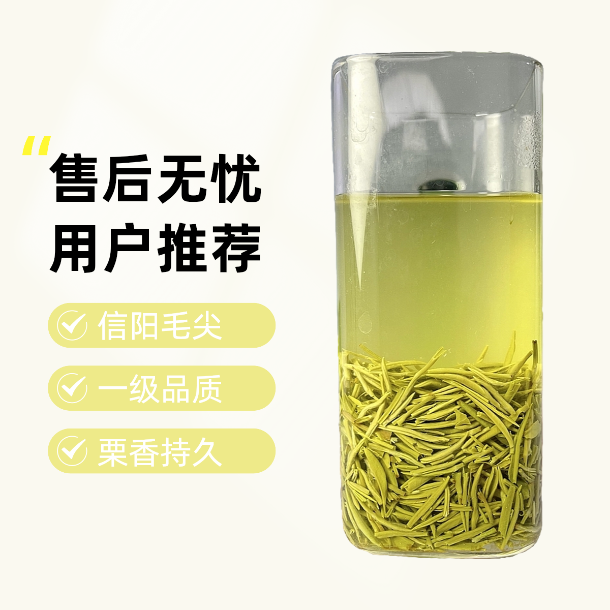 2025年信韵.信阳新茶绿茶雨前中芽，叶底肥厚，滋味鲜爽