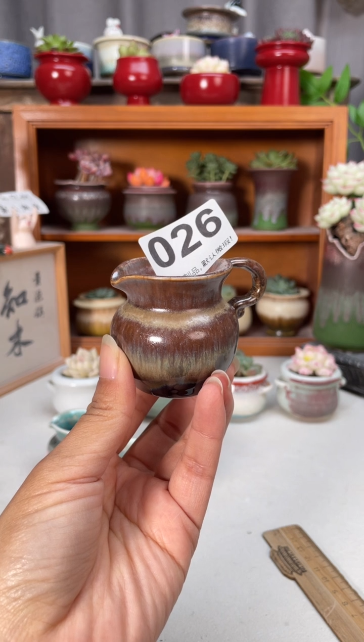 瓷片丁****妞026知木小芳花盆