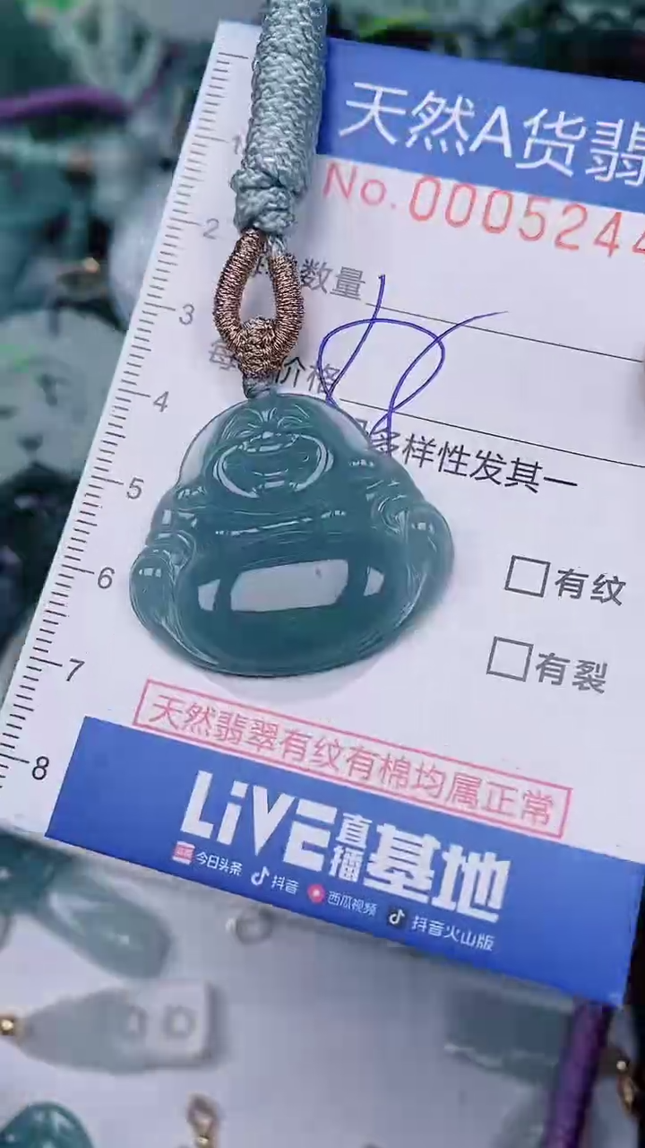 【闪购商品】翡翠颈饰未镶嵌00005244