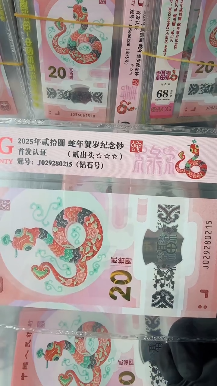 【闪购商品】2025年蛇钞单张J029280215