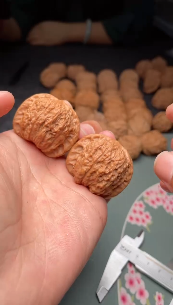 核桃a154  血麒麟 39尺