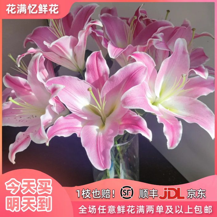 次日达-【粉色百合】6朵粉色百合鲜花任意满两单顺丰包邮三单送花瓶今天拍明天到次日达