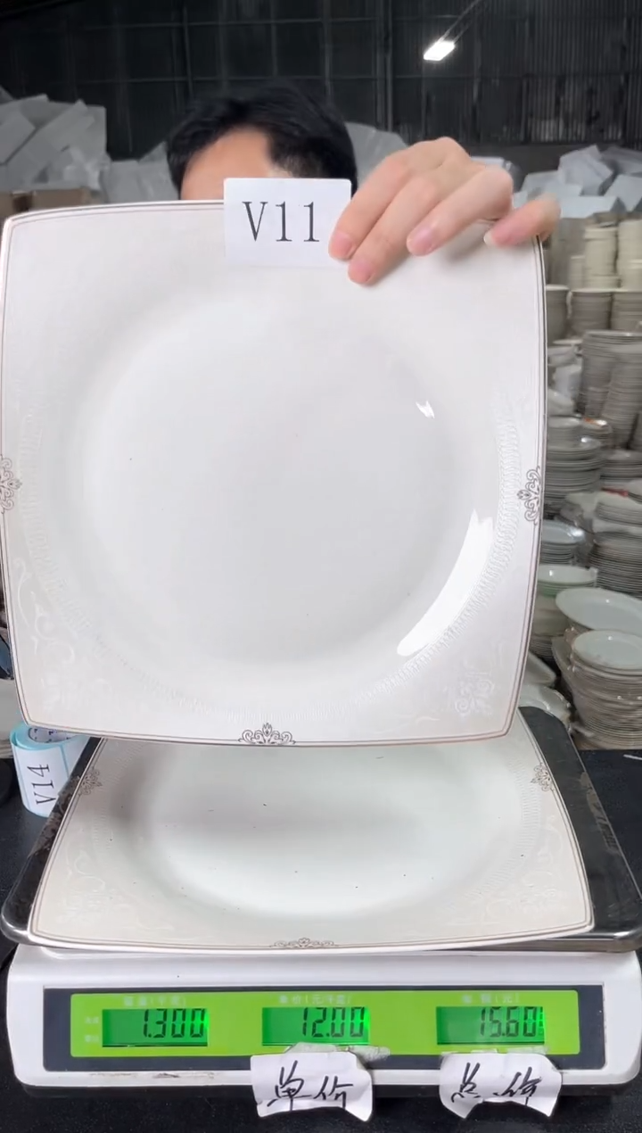 新骨瓷V11   12寸   2个