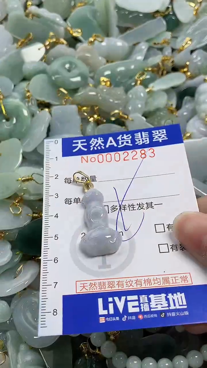 颈饰未镶嵌翡翠纯天然货a翡翠