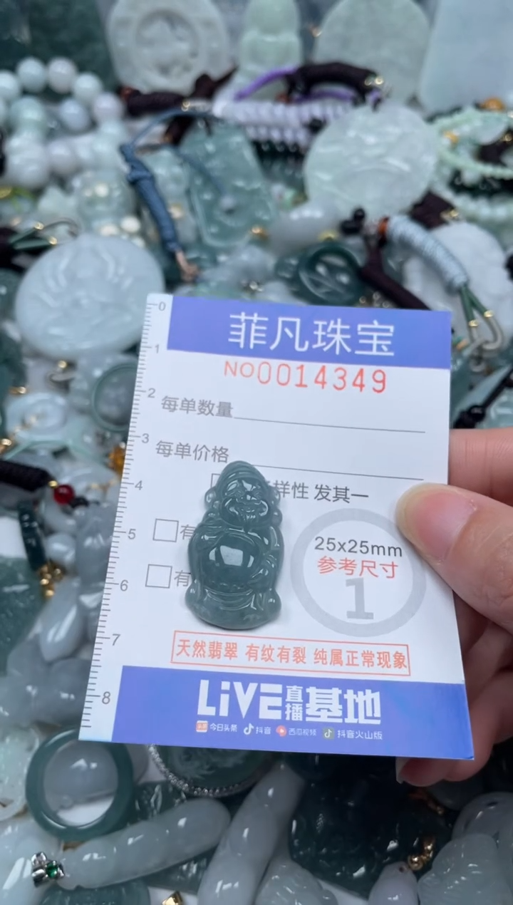 颈饰未镶嵌翡翠14349