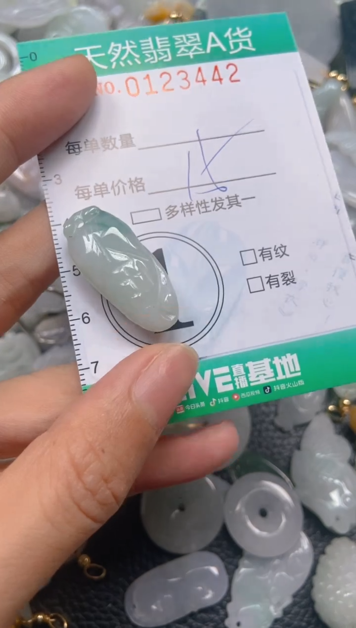 翡翠未镶嵌颈饰闪购0123442