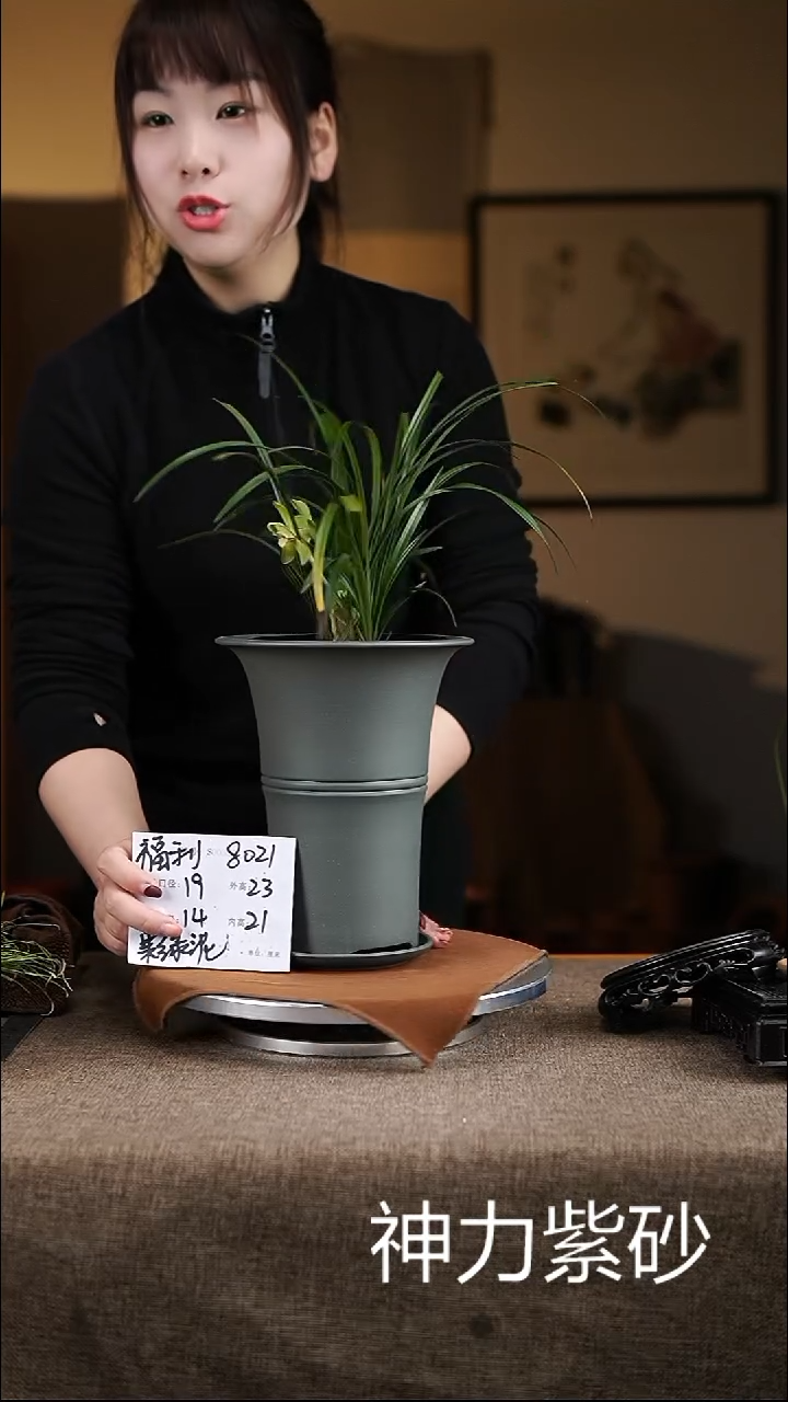 【闪购商品】紫砂花盆紫砂花盆8021+z