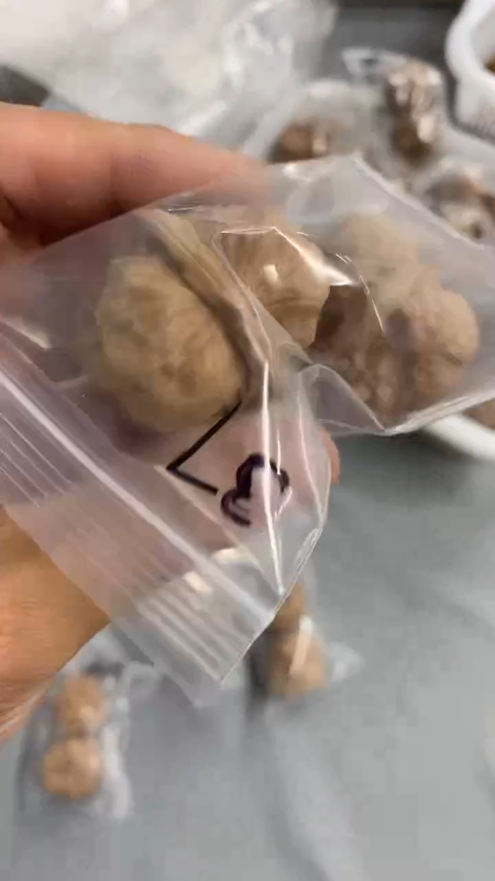 把件文玩核桃301延庆全品