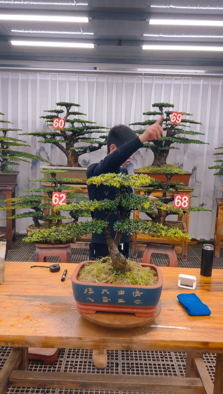 【闪购商品】紫砂精品盆景直播间一物一拍