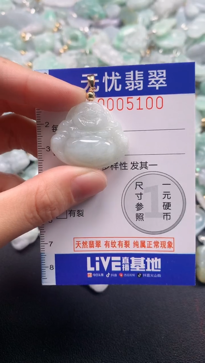 颈饰未镶嵌翡翠5100