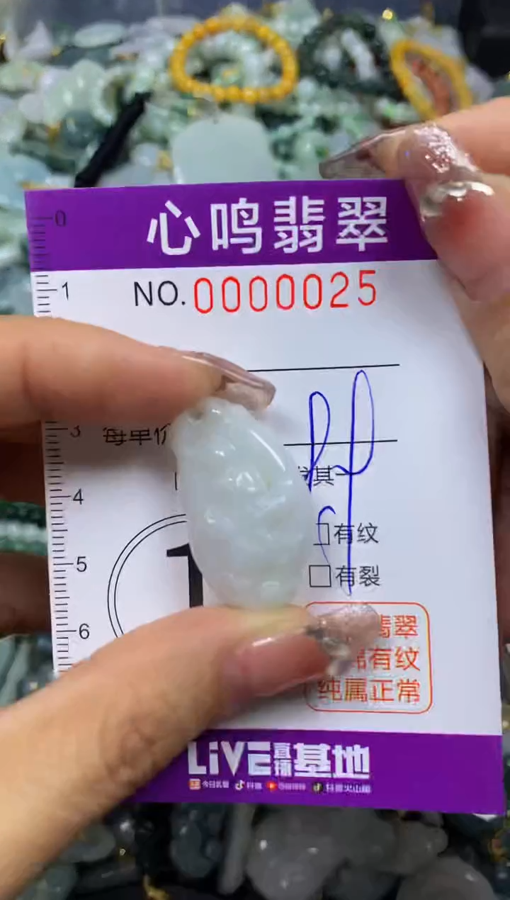 【闪购商品】翡翠颈饰未镶嵌闪购00025
