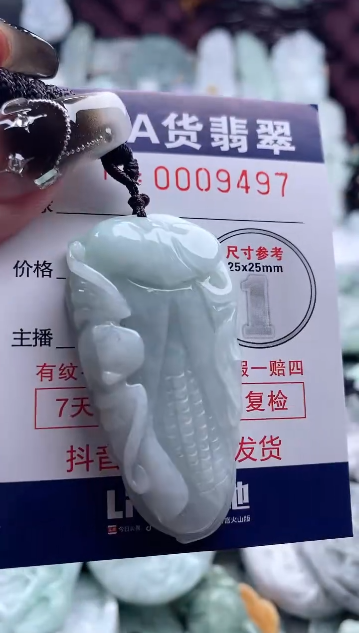 翡翠未镶嵌吊坠(不含链)1