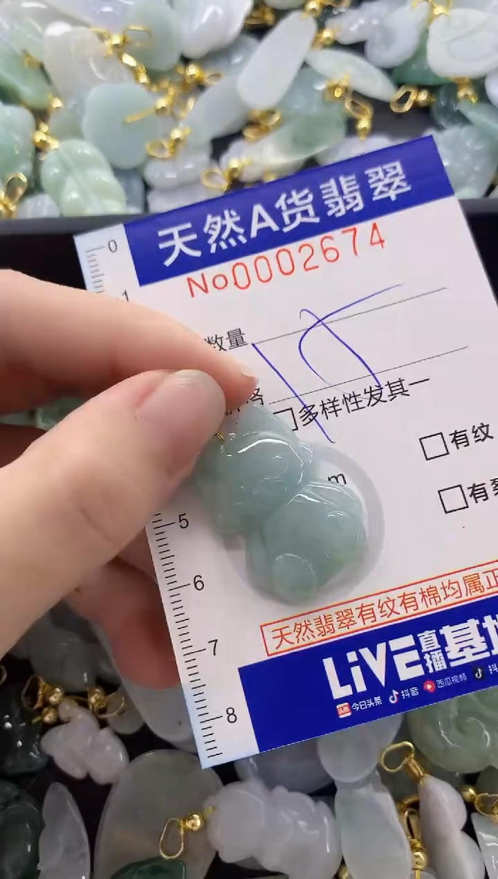 颈饰未镶嵌翡翠天然A货翡翠