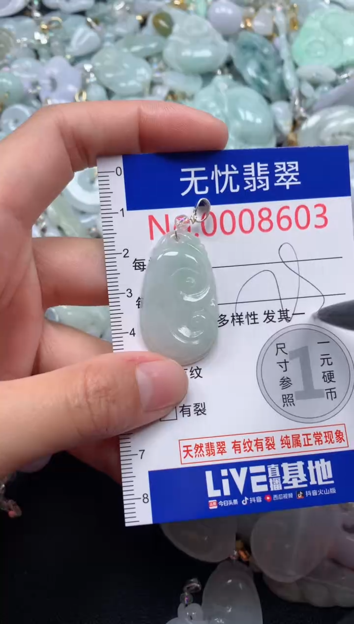 颈饰未镶嵌翡翠8603