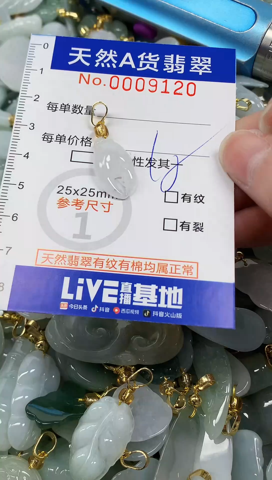 颈饰未镶嵌翡翠纯天然a货翡翠