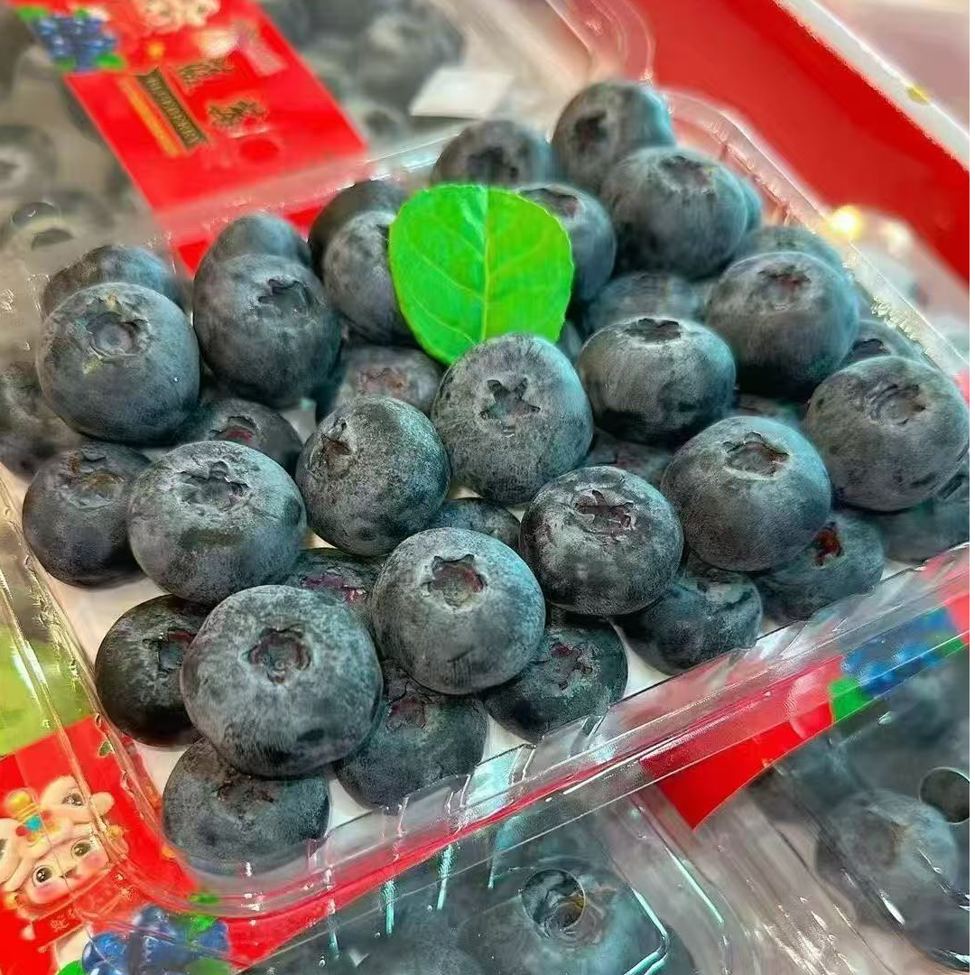 北国莓蓝莓王一盒370g云南省