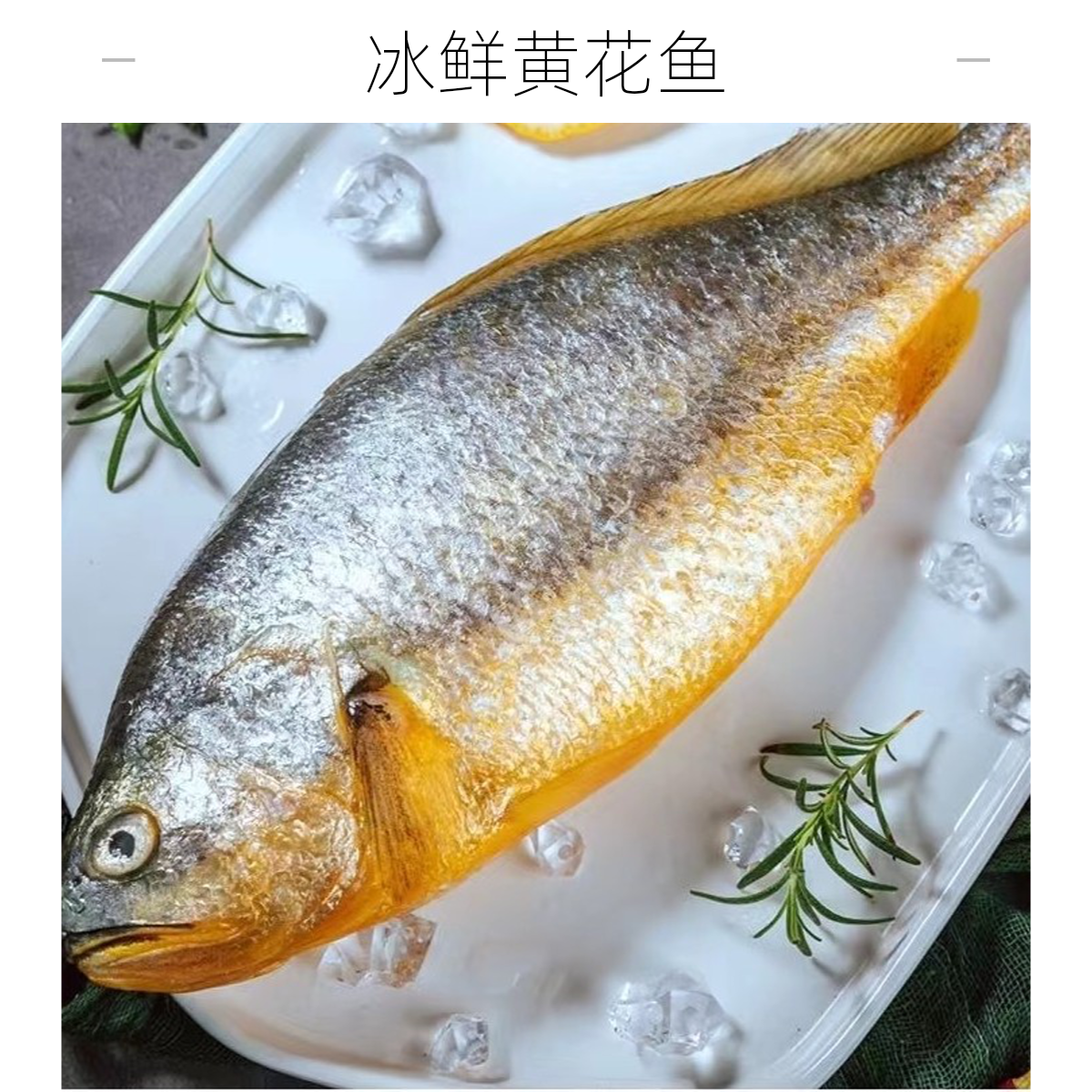 【冰鲜黄花鱼】一条 约500g/条 冰鲜到家