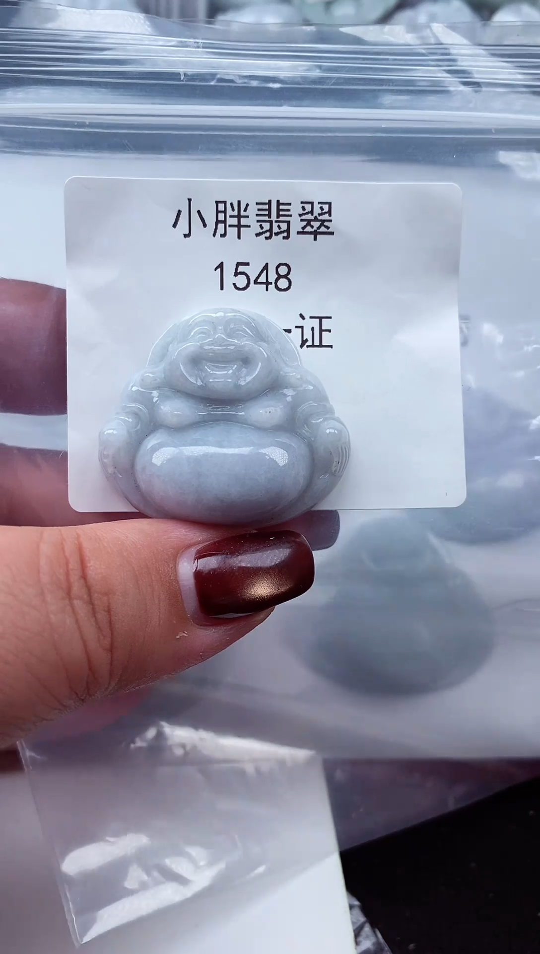 颈饰未镶嵌翡翠缅甸天然A货翡翠1548