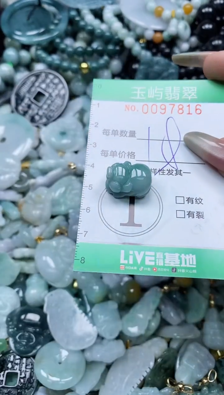 【闪购商品】翡翠未镶嵌颈饰闪购0097816