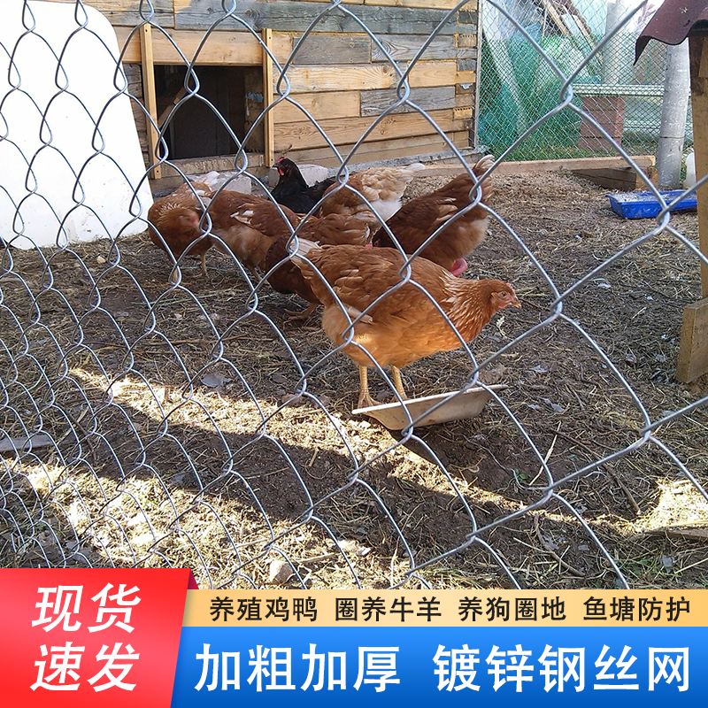 热镀锌钢丝网勾花网养殖牛羊拦鸡围网户外果园防护加粗防锈围栏网