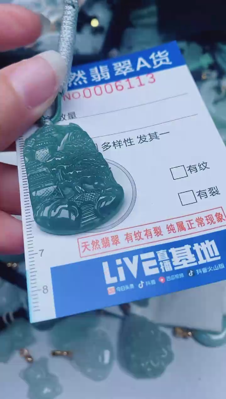 颈饰未镶嵌翡翠00006113