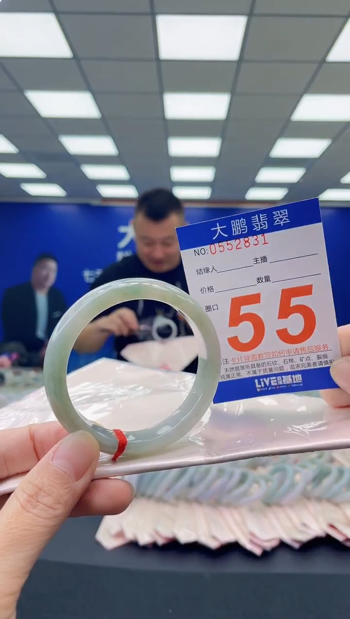 未镶嵌手镯翡翠AAAAAAAAAA