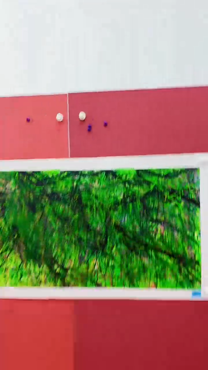 国画赵燮8平尺精品