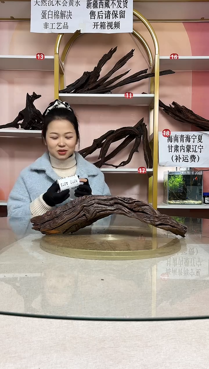 鱼*鱼缸造景沉木A068