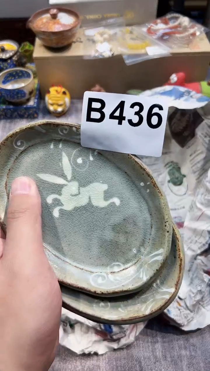【闪购商品】瓷片436都是我的大宝贝儿瓷器
