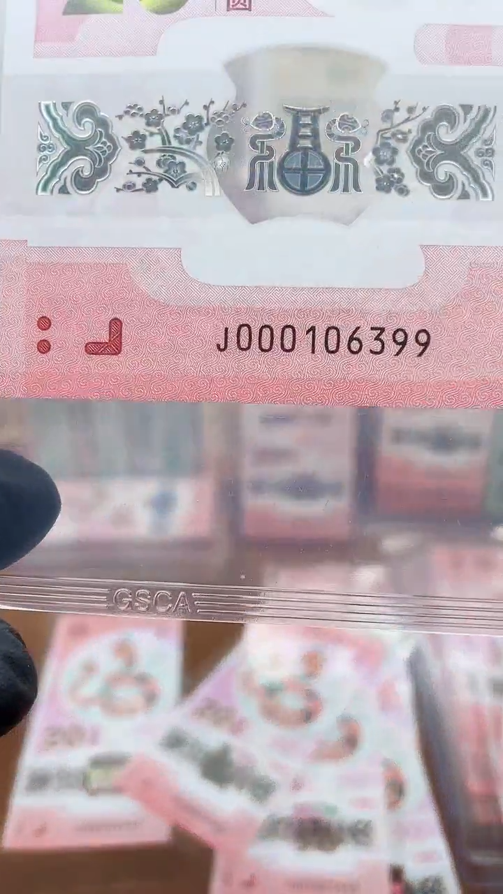 【闪购商品】塑料蛇钞000106399单张11