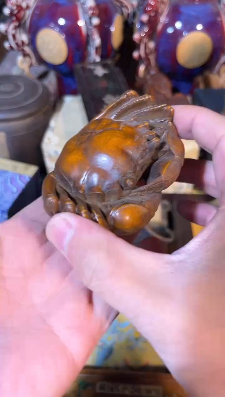 黄杨木1111111111111111111111