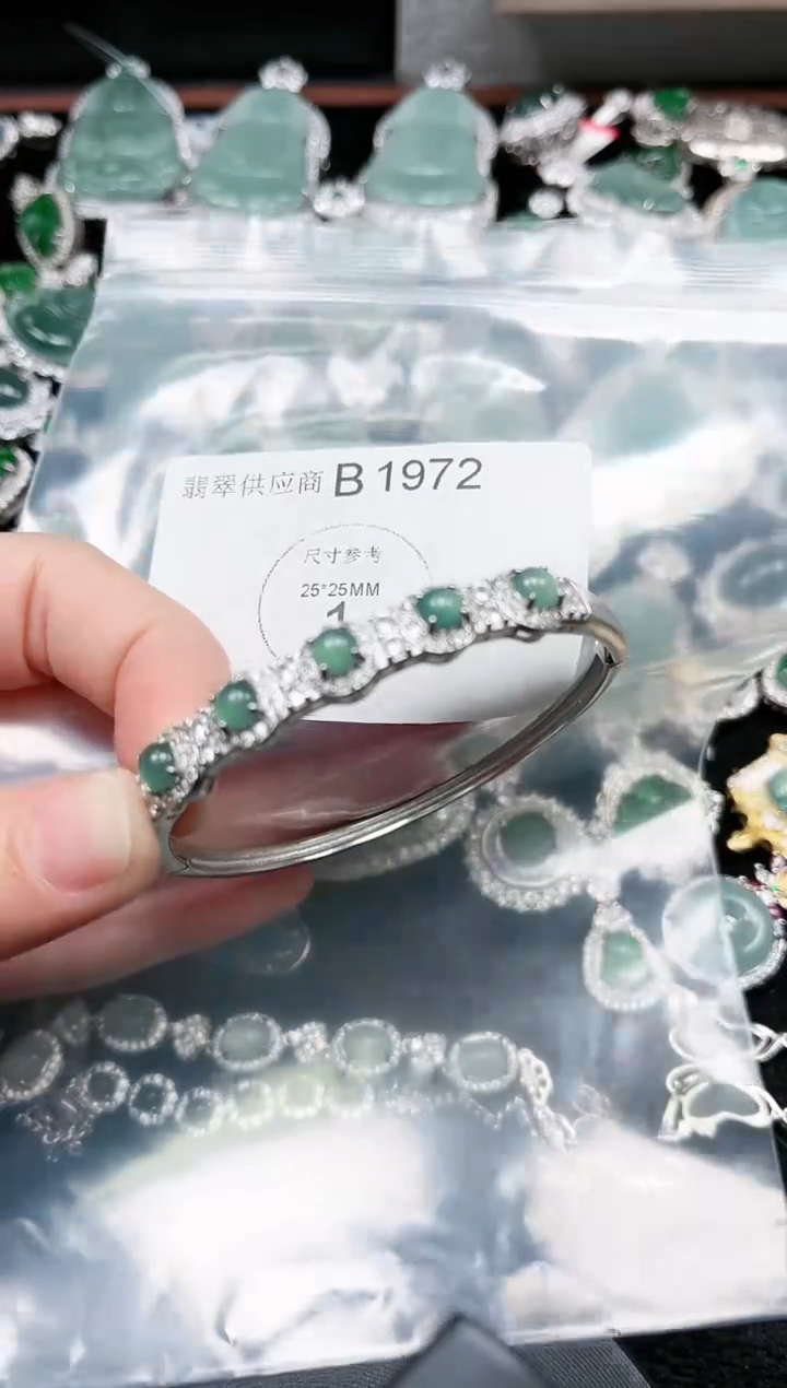 【闪购商品】翡翠颈饰未镶嵌赠皮绳1972