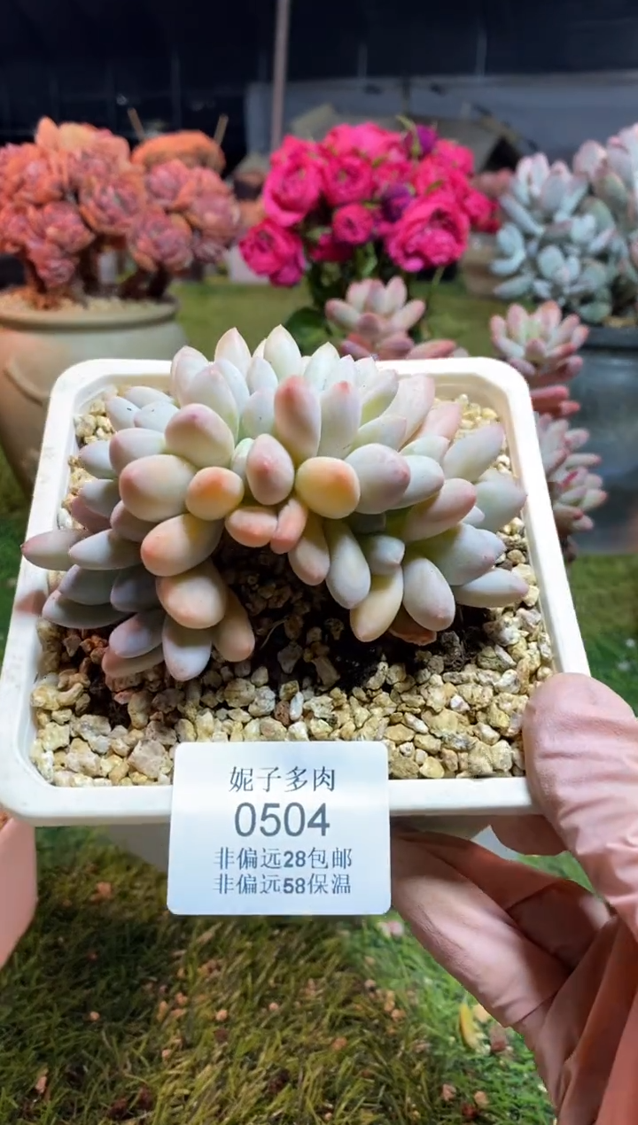 【闪购商品】0504a