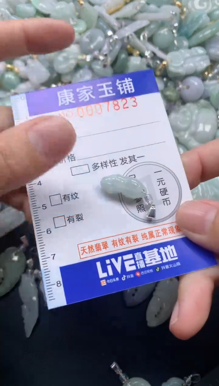 颈饰未镶嵌翡翠7823