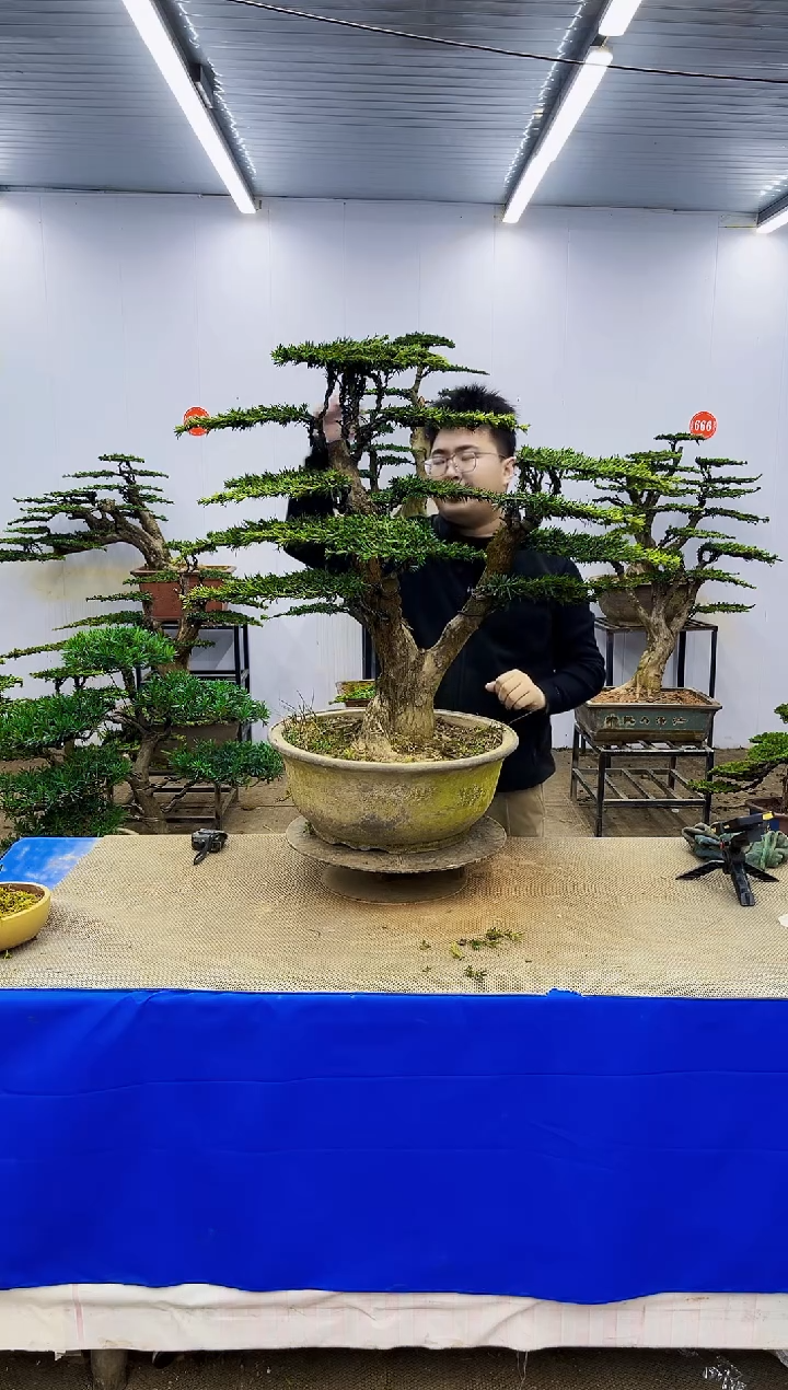 完全开放一物一拍，所见即所得