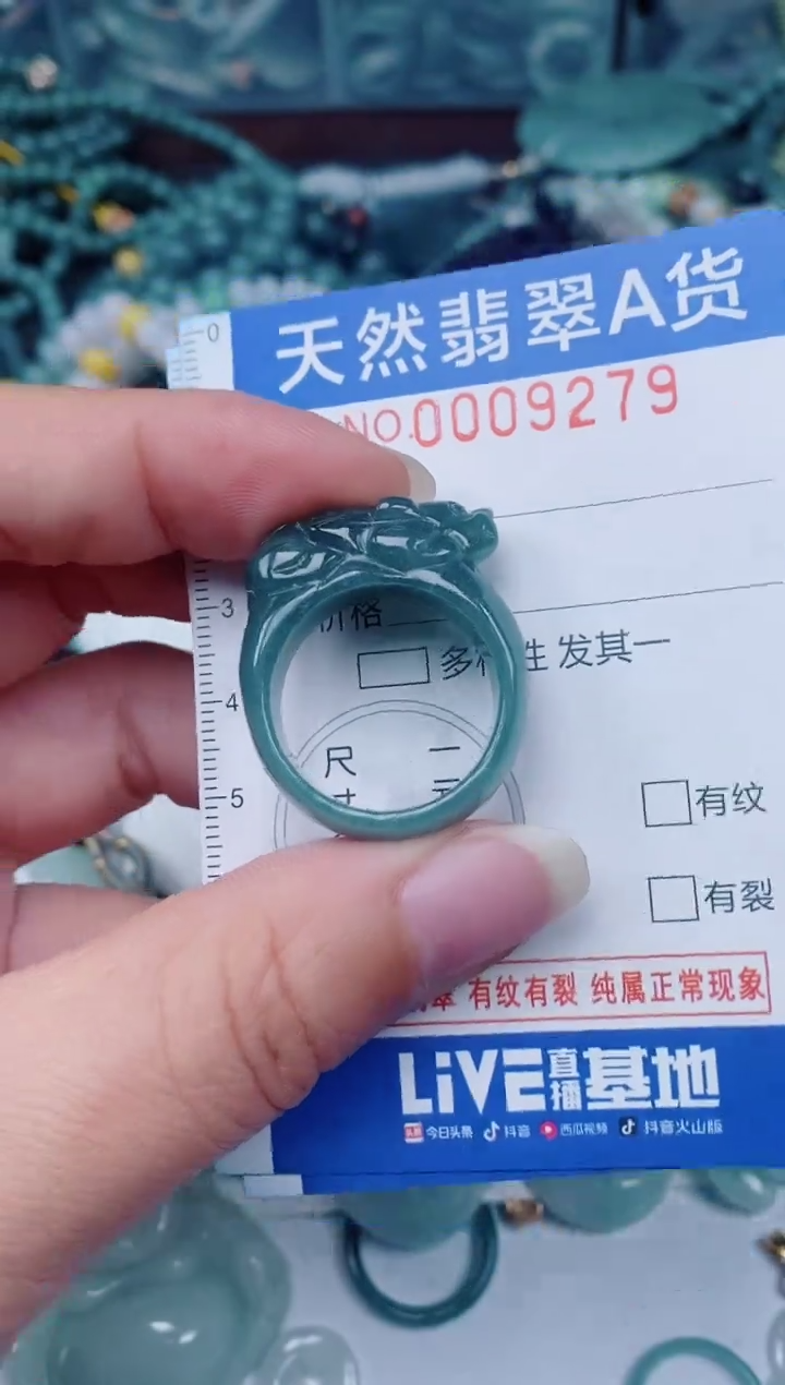 颈饰未镶嵌翡翠00009279