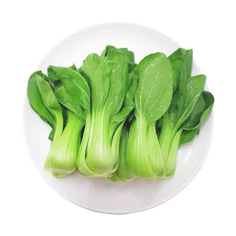 【每日鲜】上海青 约350g