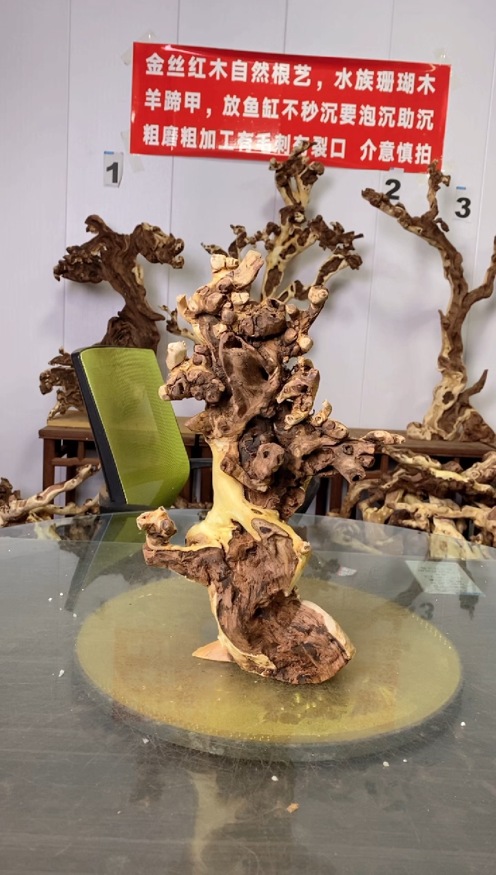 【闪购商品】香榧木枯树摆件 粗磨粗加工半成品 毛料