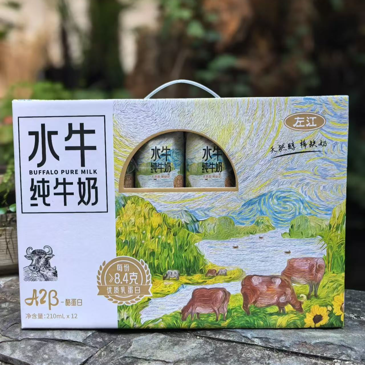 【礼盒装】1箱  左江 a2β-酪蛋白 水牛纯牛奶  净含量210ml*12盒/箱