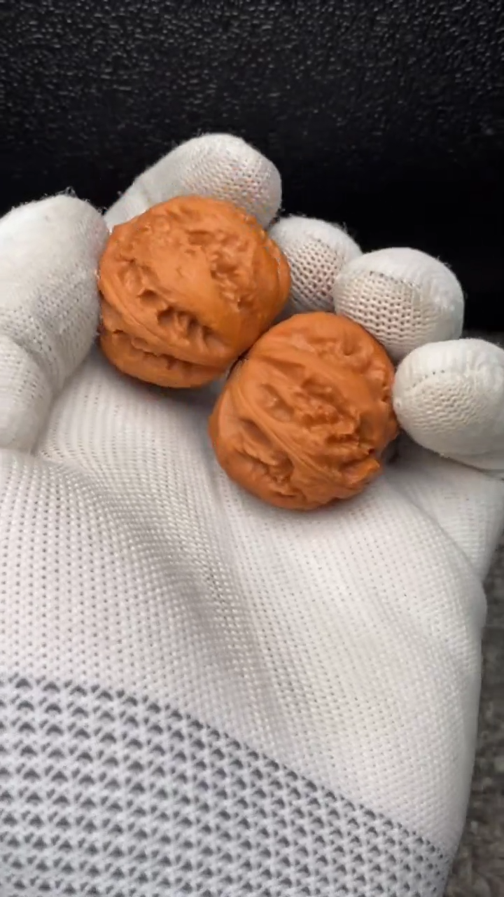 【闪购商品】文玩核桃把件粗筋霸王龙