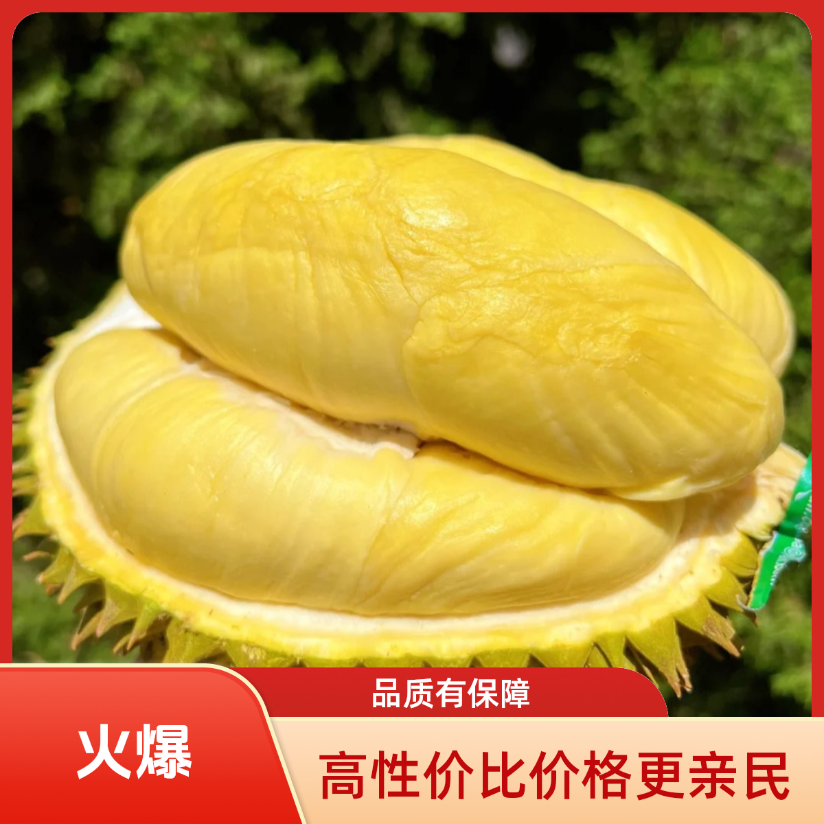 【斤枕整果】AA金枕3斤-8斤泰国树熟金枕鲜榴莲【直播间现开】核小肉厚深圳同城闪送金枕泰国