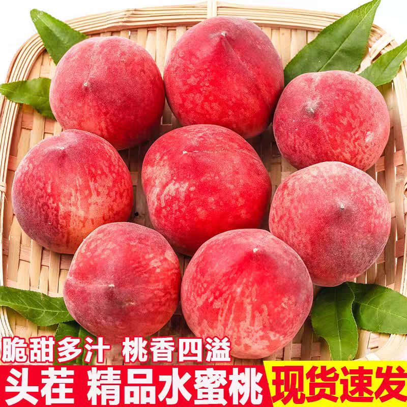 头茬水蜜桃山西头茬脆蜜桃小桃子脆甜多汁产地直达